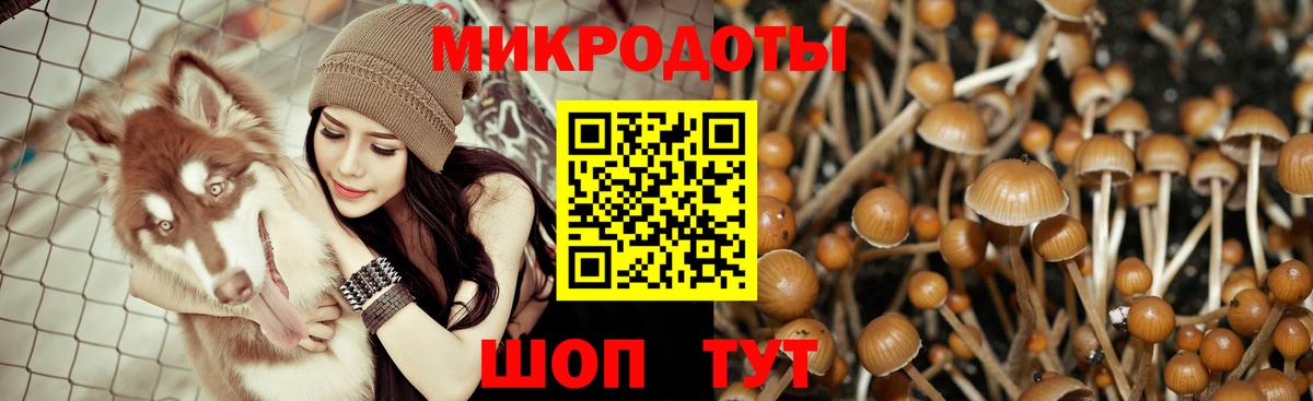 Галлюциногенные грибы ЛСД  Вход с VPN  Хабаровск 